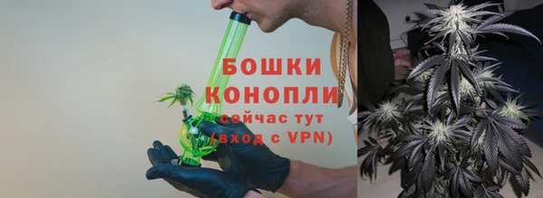 ПСИЛОЦИБИНОВЫЕ ГРИБЫ Надым