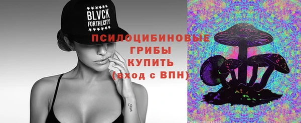 ПСИЛОЦИБИНОВЫЕ ГРИБЫ Надым