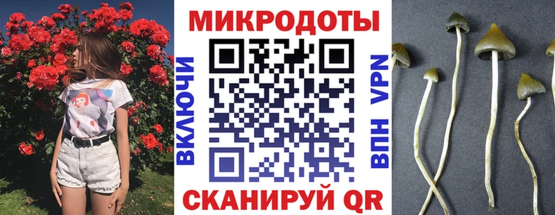 что такое наркотик  блэк спрут ссылка  shop как зайти  Балашиха  Галлюциногенные грибы Psilocybine cubensis 